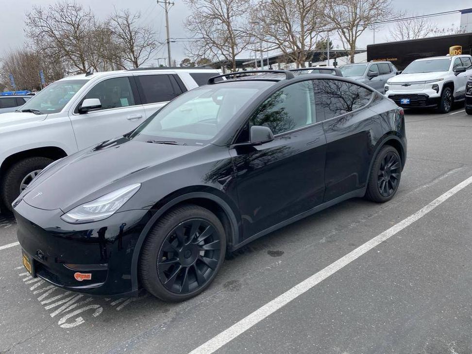 TESLA MODEL Y 2020 5YJYGDEE5LF018560 image